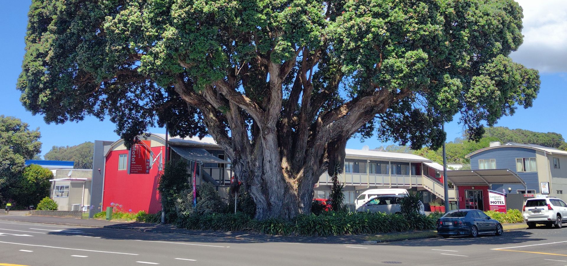 New Plymouth accommodation